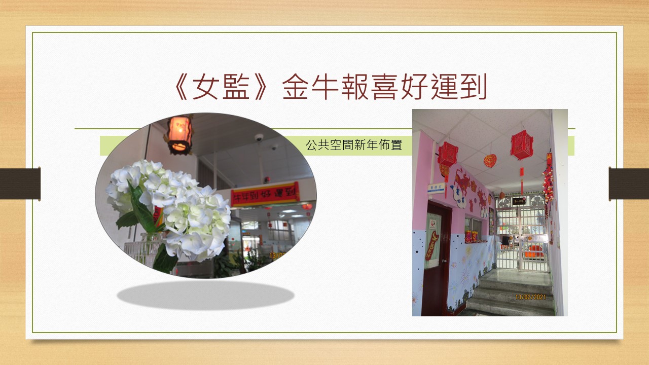 《女監》金牛報喜好運到-公共空間新年佈置1